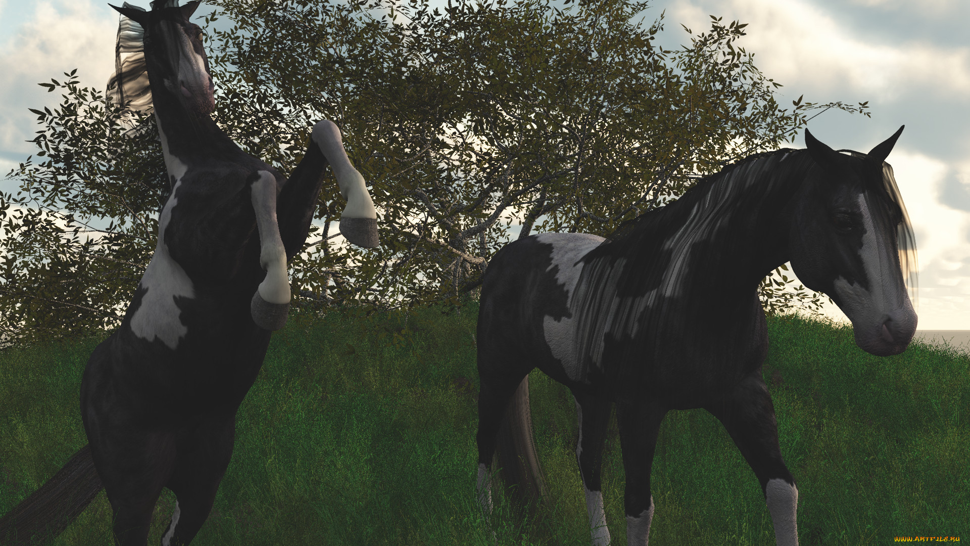 3 ,  , animals, 